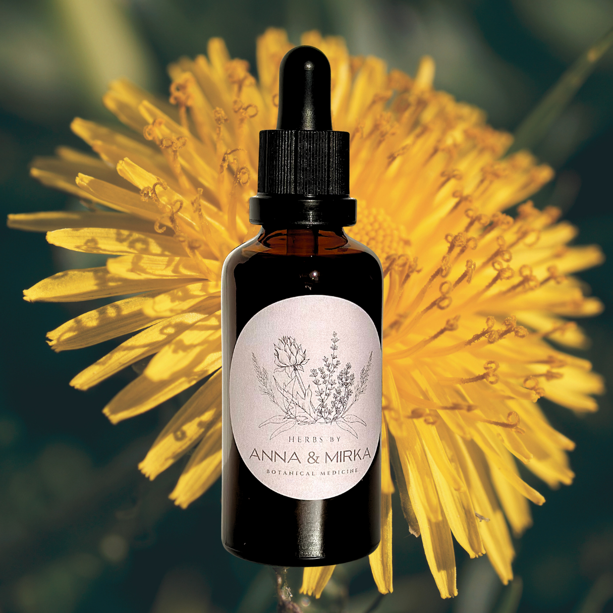DANDELION ROOT