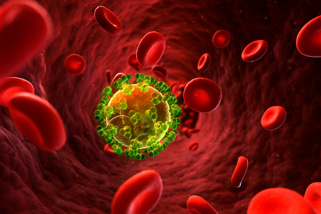 SCIENCE-BASED HERBS BEHIND OUR ANTIVIRAL BLEND