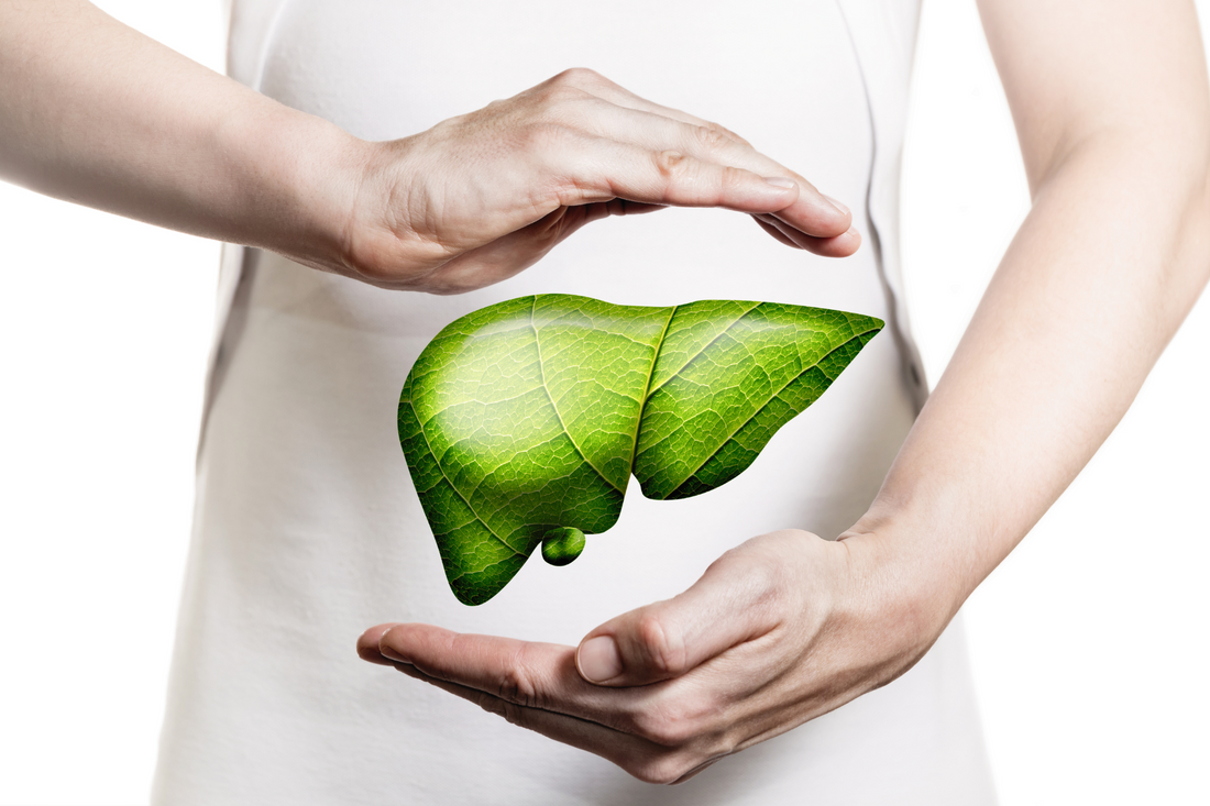 SCIENCE-BASED HERBS BEHIND OUR LIVER & CHOLESTEROL BLEND