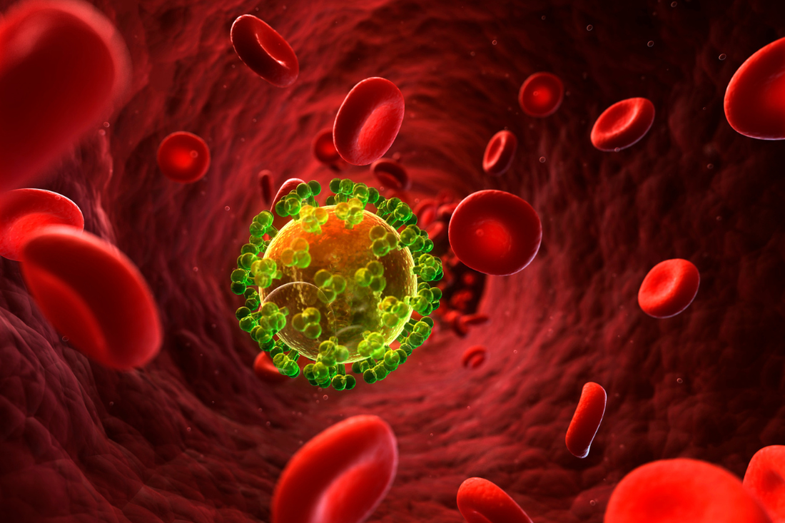 SCIENCE-BASED HERBS BEHIND OUR CANDIDA & MYCOSIS BLEND