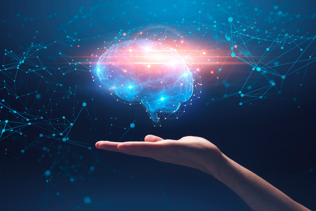 SCIENCE-BASED HERBS BEHIND OUR COGNITIVE FUNCTIONS BLEND